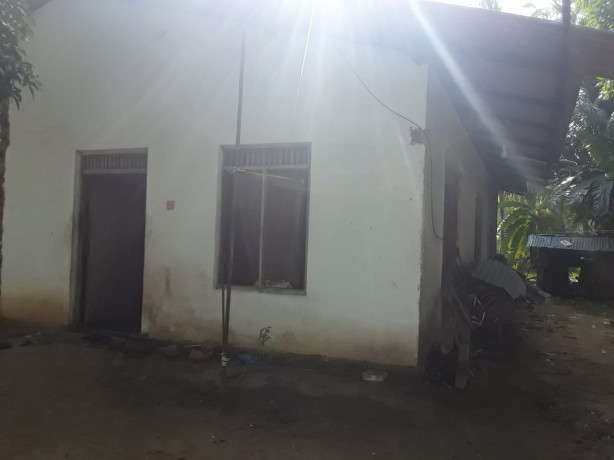 House  for Sale in Hingurakgoda
