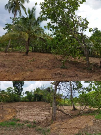 land sale in Kurunagala