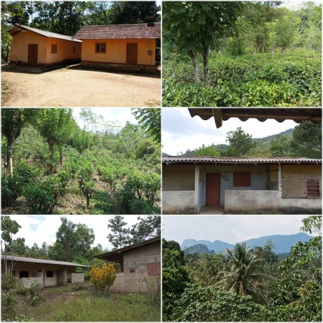 Land for Sale In Kalawana, Ratnapura