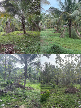 LAND FOR SALE IN KOTADENIYAWA