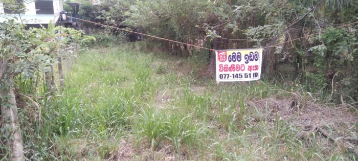 Land For Sale  in kurunegala