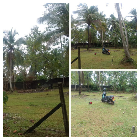 LAND FOR SALE IN NITTABUWA