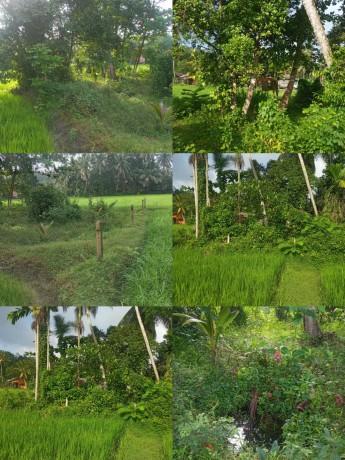 Land for Sale in Horana