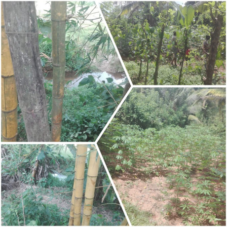 LAND FOR SALE IN GAMPAHA