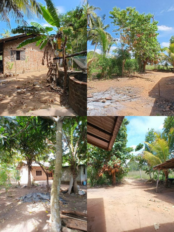 HOUSE FOR SALE  ANURADHAPURA