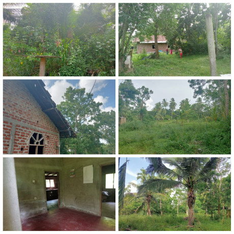 Land for Sale in Anamaduwe