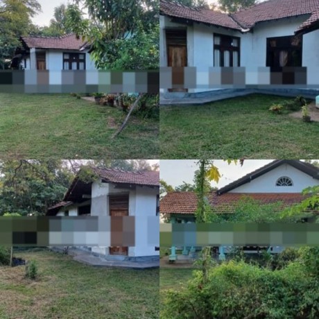 House With Land For Sale Nattandiya