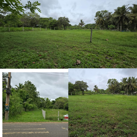 LAND FOR SALE IN ANURADAPURA