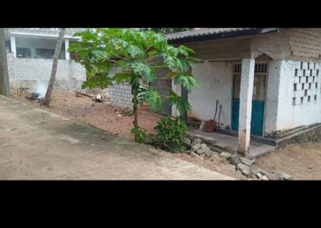 House For Sale In Hirana