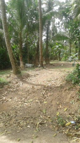 අගනා බිම් කොටසක් විකිණීමට