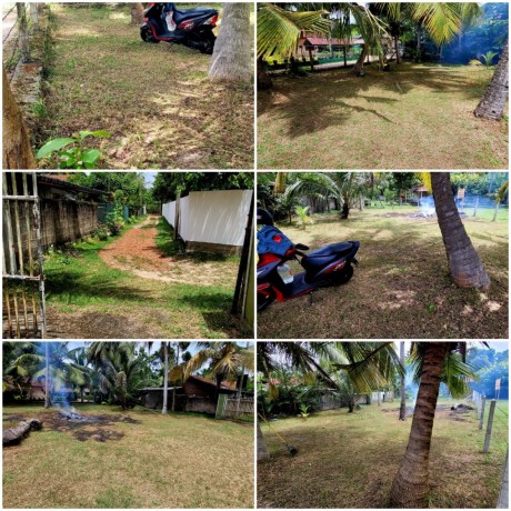 Land For Sale In Negombo