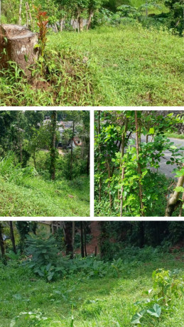 LAND FOR SALE IN PERADENIYA