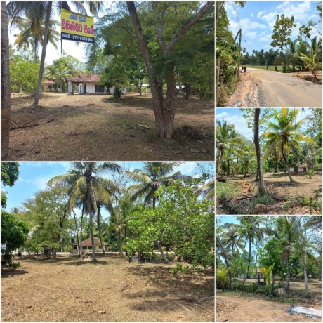 Land Fore Sale In Kuliyapitiya