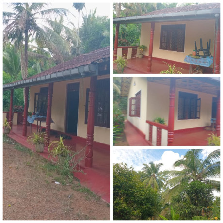 LAND FOR SALE IN ALAWWA